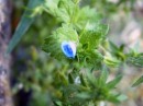 Photo 085_resize * 500 x 375 * (44KB)